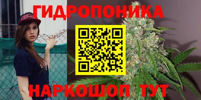 дживик Ливны